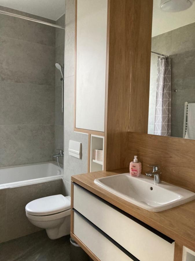 Dumbravita  Papillon Apartment #6 المظهر الخارجي الصورة